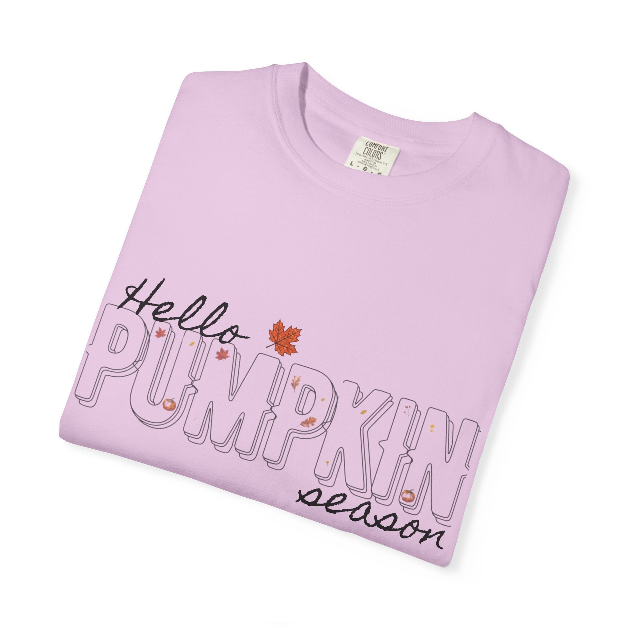 "Hello Pumpkin Season" Fall Graphic Tee