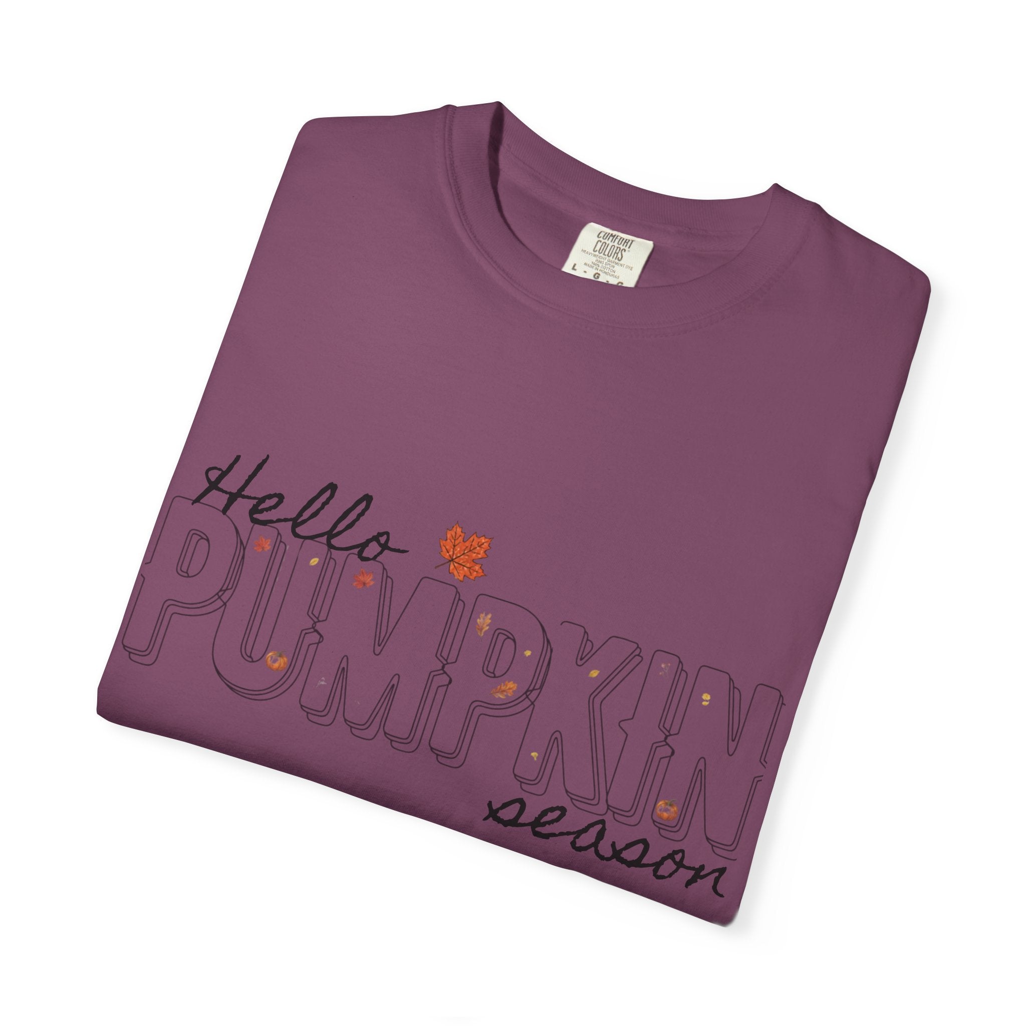 "Hello Pumpkin Season" Fall Graphic Tee