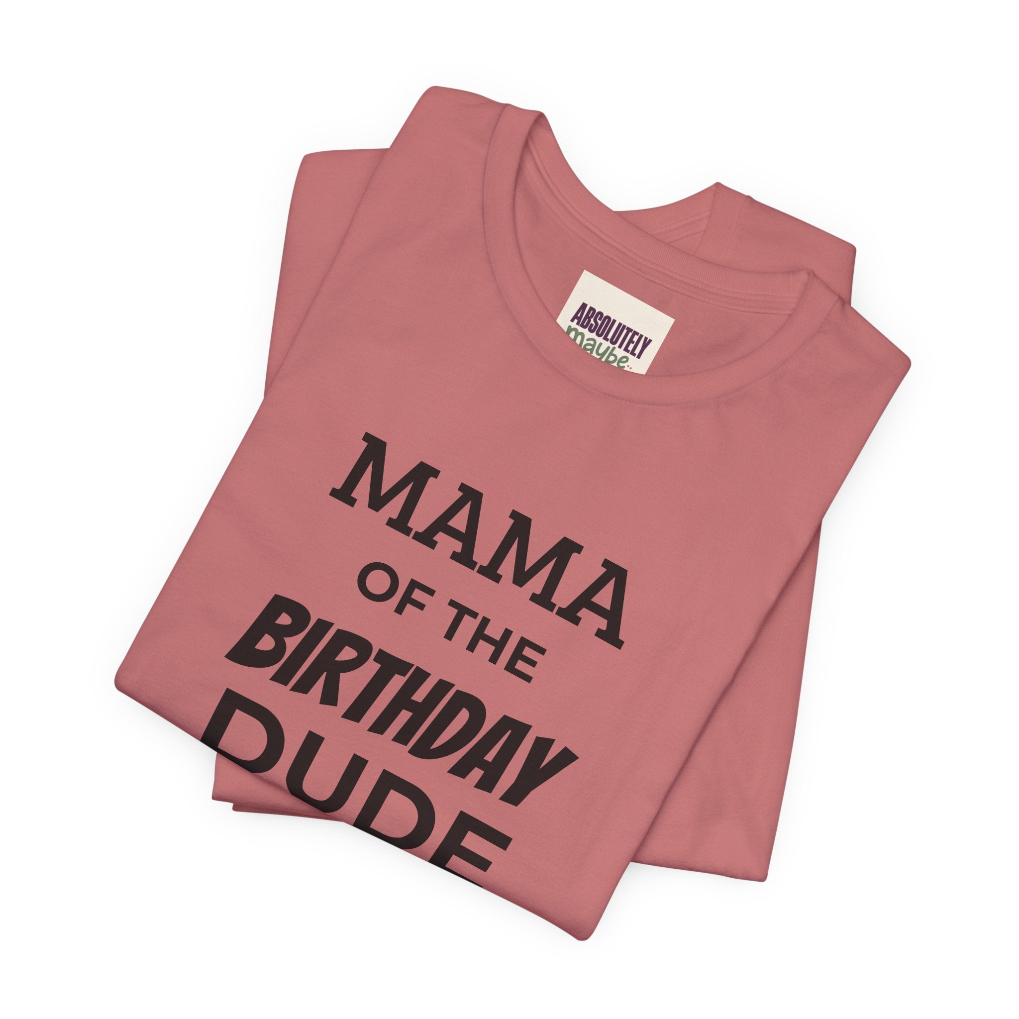 Mama of the Birthday Dude T-Shirt