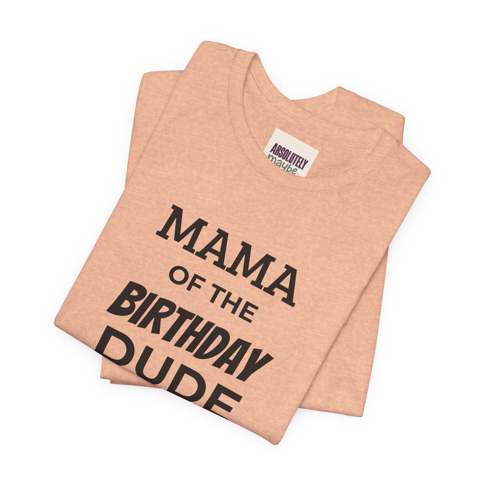 Mama of the Birthday Dude T-Shirt